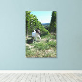 Capo von Oppenheim, Jack Russell Terrier, Dog Canvas Afdruk (Insitu (Houten vloer))