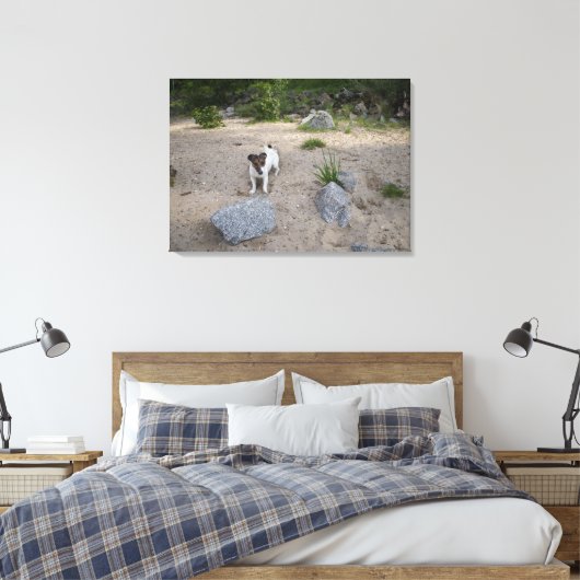 Capo von Oppenheim, Jack Russell Terrier, Dog Canvas Afdruk (Insitu (Slaapkamer))