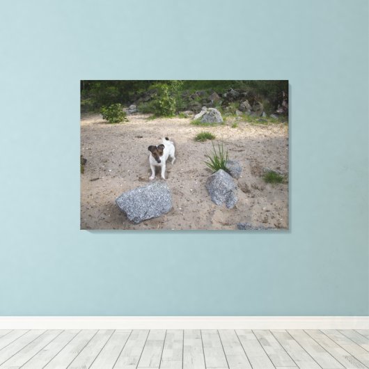 Capo von Oppenheim, Jack Russell Terrier, Dog Canvas Afdruk (Insitu (Houten vloer))