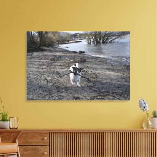 Capo von Oppenheim, Jack Russell Terrier Dog Canvas Afdruk (Insitu (Woonkamer))