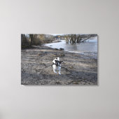Capo von Oppenheim, Jack Russell Terrier Dog Canvas Afdruk (Voorkant)