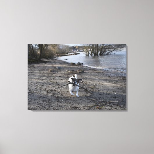 Capo von Oppenheim, Jack Russell Terrier Dog Canvas Afdruk (Voorkant)