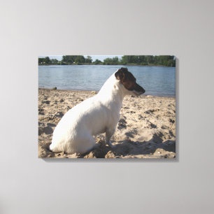 Capo von Oppenheim, Jack Russell Terrier Dog Canvas Afdruk