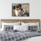 Capo von Oppenheim, Jack Russell Terrier, Dog Canvas Afdruk (Insitu (Slaapkamer))