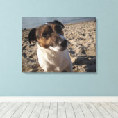 Capo von Oppenheim, Jack Russell Terrier, Dog Canvas Afdruk (Insitu (Houten vloer))