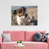 Capo von Oppenheim, Jack Russell Terrier, Dog Canvas Afdruk (Insitu (Woonkamer))