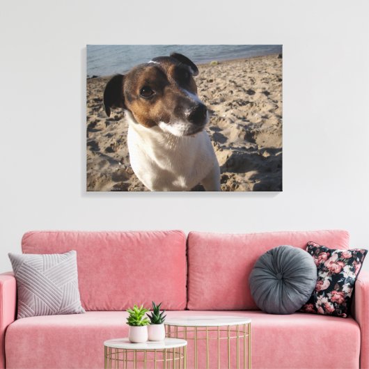 Capo von Oppenheim, Jack Russell Terrier, Dog Canvas Afdruk (Insitu (Woonkamer))