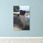 Capo von Oppenheim, Jack Russell Terrier, Dog Canvas Afdruk (Insitu (Houten vloer))