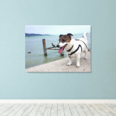 Capo von Oppenheim, Jack Russell Terrier Dog Canvas Afdruk (Insitu (Houten vloer))