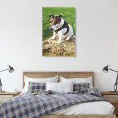 Capo von Oppenheim, Jack Russell Terrier, Dog Canvas Afdruk (Insitu (Slaapkamer))