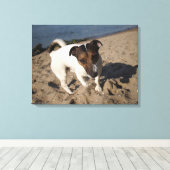 Capo von Oppenheim, Jack Russell Terrier, Dog Canvas Afdruk (Insitu (Houten vloer))