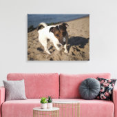 Capo von Oppenheim, Jack Russell Terrier, Dog Canvas Afdruk (Insitu (Woonkamer))