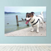 Capo von Oppenheim, Jack Russell Terrier Dog Canvas Afdruk (Insitu (Houten vloer))