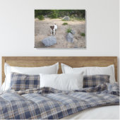 Capo von Oppenheim, Jack Russell Terrier, Dog Canvas Afdruk (Insitu (Slaapkamer))