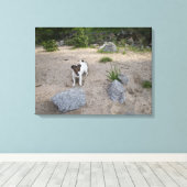 Capo von Oppenheim, Jack Russell Terrier, Dog Canvas Afdruk (Insitu (Houten vloer))