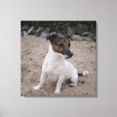 Capo von Oppenheim, Jack Russell Terrier, Dog Canvas Afdruk (Voorkant)