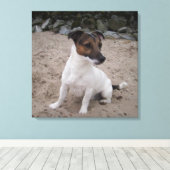 Capo von Oppenheim, Jack Russell Terrier, Dog Canvas Afdruk (Insitu (Houten vloer))