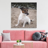 Capo von Oppenheim, Jack Russell Terrier, Dog Canvas Afdruk (Insitu (Woonkamer))