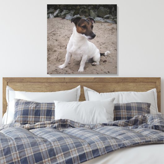 Capo von Oppenheim, Jack Russell Terrier, Dog Canvas Afdruk (Insitu (Slaapkamer))