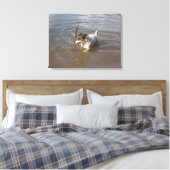 Capo von Oppenheim, Jack Russell Terrier, Dog Canvas Afdruk (Insitu (Slaapkamer))