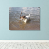 Capo von Oppenheim, Jack Russell Terrier, Dog Canvas Afdruk (Insitu (Houten vloer))