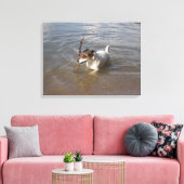 Capo von Oppenheim, Jack Russell Terrier, Dog Canvas Afdruk (Insitu (Woonkamer))