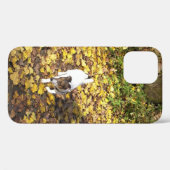 Capo von Oppenheim, Jack Russell Terrier Dog Case-Mate iPhone Case (Achterkant (horizontaal))