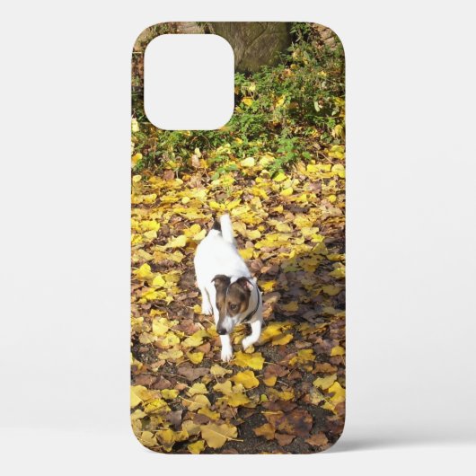 Capo von Oppenheim, Jack Russell Terrier Dog Case-Mate iPhone Case (Achterkant)