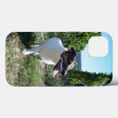 Capo von Oppenheim Jack Russell Terrier, Dog Case-Mate iPhone Case (Achterkant (horizontaal))