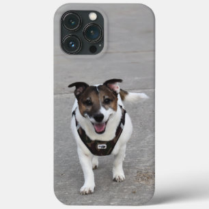 Capo von Oppenheim, Jack Russell Terrier Dog Case-Mate iPhone Case