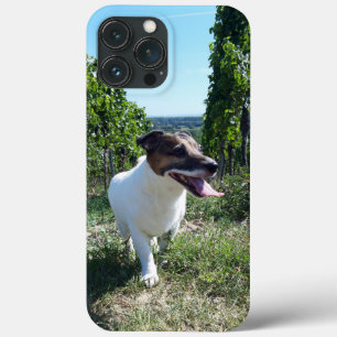 Capo von Oppenheim Jack Russell Terrier, Dog Case-Mate iPhone Case