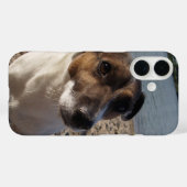 Capo von Oppenheim Jack Russell Terrier, Dog Case-Mate iPhone Case (Achterkant (horizontaal))