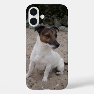 Capo von Oppenheim Jack Russell Terrier, Dog iPhone 16 Plus Hoesje