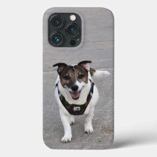 Capo von Oppenheim, Jack Russell Terrier Dog Case-Mate iPhone Case
