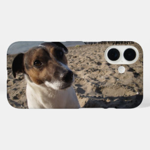 Capo von Oppenheim Jack Russell Terrier, Dog iPhone 16 Hoesje