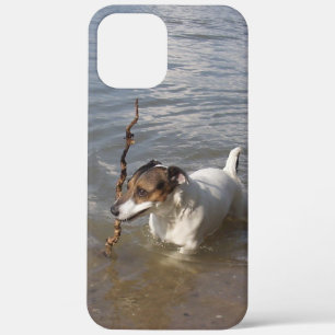 Capo von Oppenheim Jack Russell Terrier, Dog Case-Mate iPhone Case