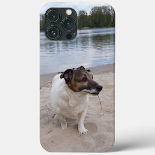 Capo von Oppenheim, Jack Russell Terrier Dog Case-Mate iPhone Case
