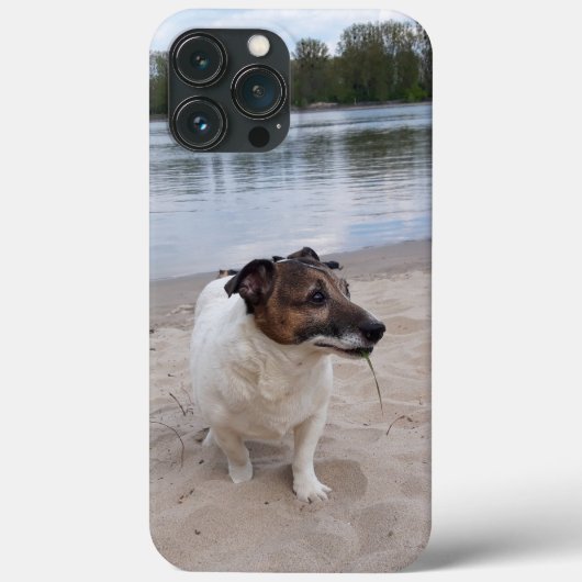 Capo von Oppenheim, Jack Russell Terrier Dog Case-Mate iPhone Case (Achterkant)