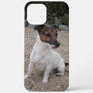 Capo von Oppenheim Jack Russell Terrier, Dog Case-Mate iPhone Case
