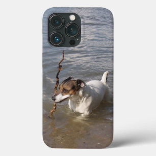 Capo von Oppenheim Jack Russell Terrier, Dog Case-Mate iPhone Case