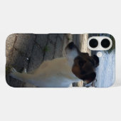 Capo von Oppenheim Jack Russell Terrier, Dog Case-Mate iPhone Case (Achterkant (horizontaal))