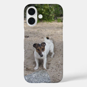 Capo von Oppenheim Jack Russell Terrier, Dog iPhone 16 Hoesje