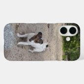 Capo von Oppenheim Jack Russell Terrier, Dog Case-Mate iPhone Case (Achterkant (horizontaal))