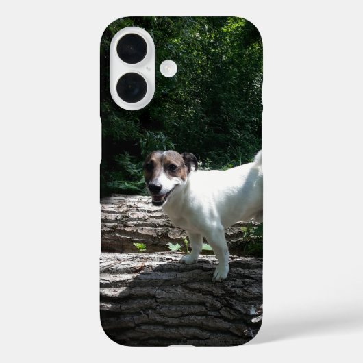 Capo von Oppenheim Jack Russell Terrier, Dog Case-Mate iPhone Case (Achterkant)