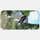 Capo von Oppenheim Jack Russell Terrier, Dog Case-Mate iPhone Case (Achterkant (horizontaal))