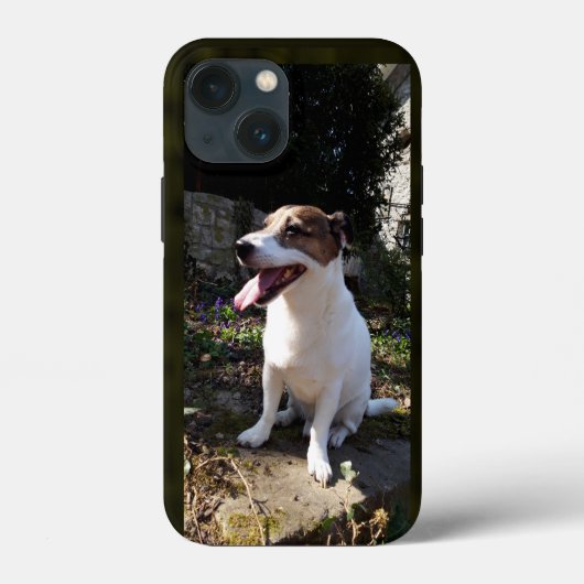 Capo von Oppenheim Jack Russell Terrier, Dog Case-Mate iPhone Case (Achterkant)