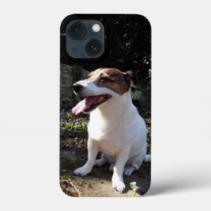 Capo von Oppenheim Jack Russell Terrier, Dog Case-Mate iPhone Case