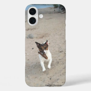 Capo von Oppenheim Jack Russell Terrier, Dog iPhone 16 Plus Hoesje