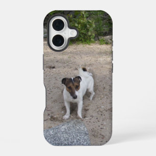 Capo von Oppenheim Jack Russell Terrier, Dog iPhone 16 Hoesje