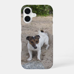Capo von Oppenheim Jack Russell Terrier, Dog iPhone 16 Hoesje